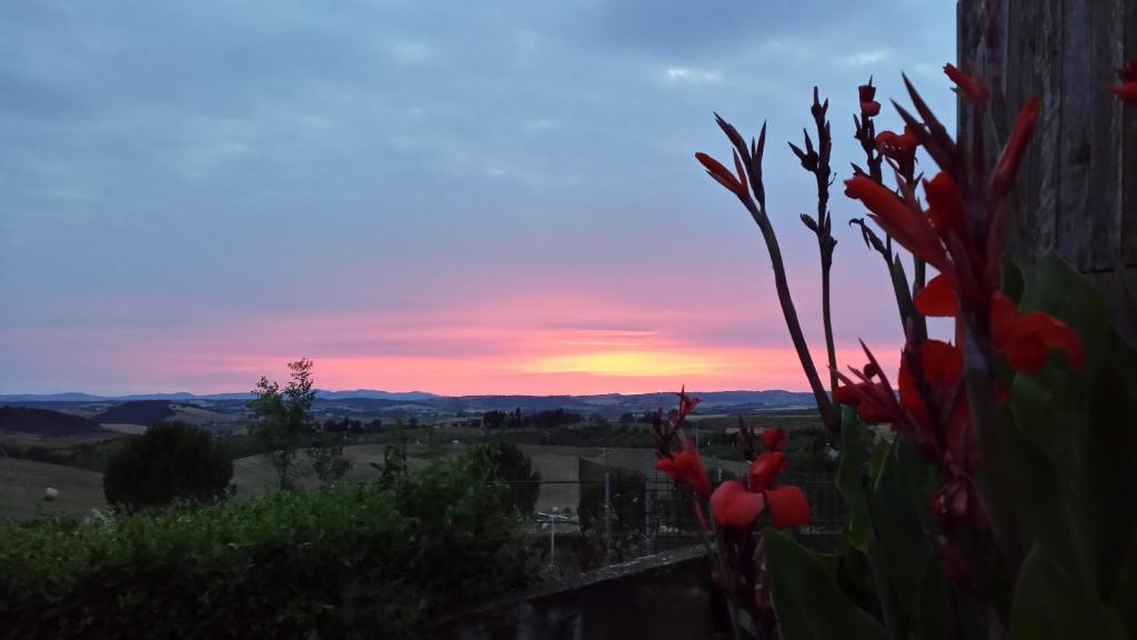 Agriturismo Marruchetone Vecchio Манчиано Экстерьер фото
